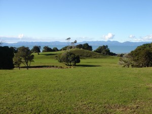 image-waikato-landscape2
